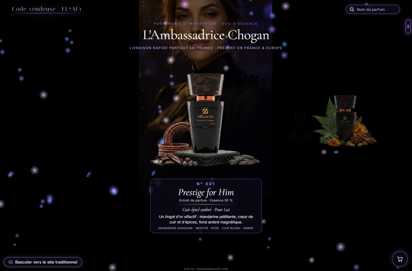 Aperçu du site immersif Boutique Chogan
